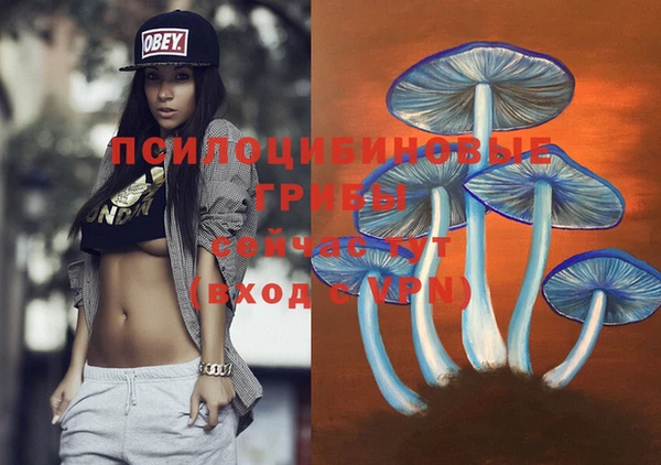 сатива Волосово