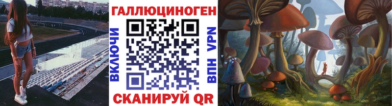 Галлюциногенные грибы Psilocybe  даркнет официальный сайт  Сердобск 